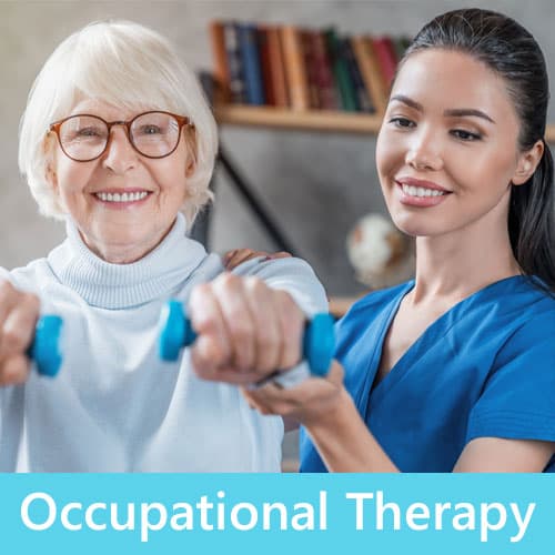 Occupational Therapy