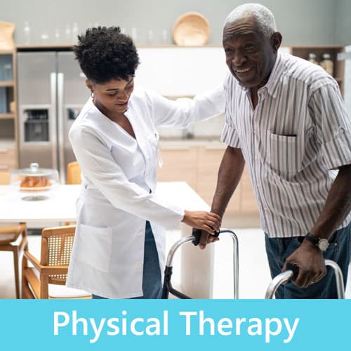 Physical Therapy