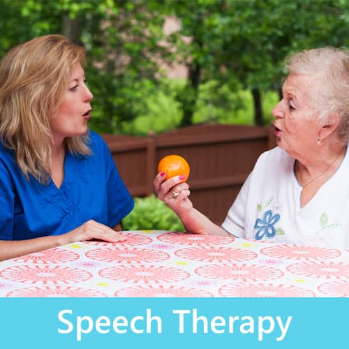 Speech Therapy